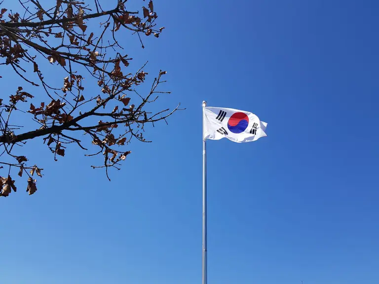 South Korean flag on a flagpole against a vibrant blue sky with tree branches.