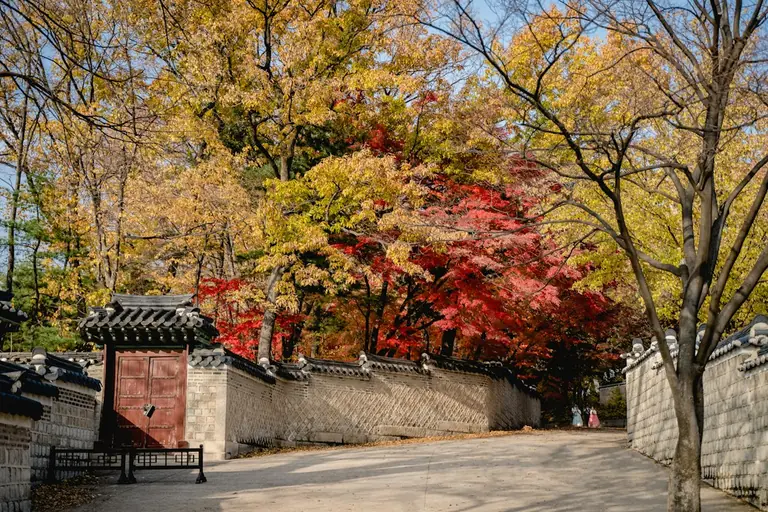 Autumn leaves frame a stone wall and traditional gate.