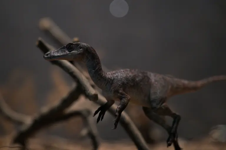 A realistic dinosaur model displayed against a blurred natural background, showcasing detailed craftsmanship and texture.