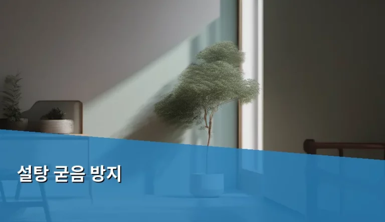 설탕 굳음 방지 방법과 보관 꿀팁 총정리