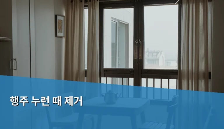 행주 누런 때 제거 및 하얗게 관리하는 살림 비법