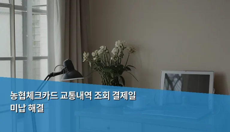 농협체크카드 교통내역 조회 및 결제일 미납 해결 방법