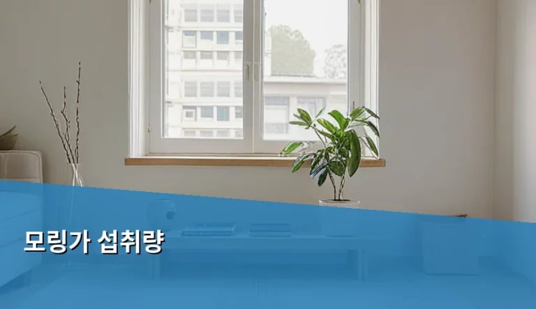 모링가 섭취량 권장 기준과 안전한 복용 방법 가이드