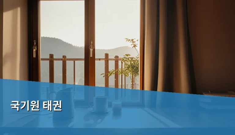 국기원 태권 단증 취득 방법과 등급 체계 안내