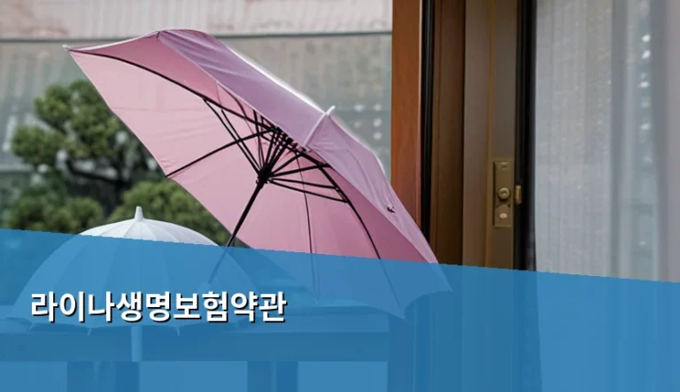 라이나생명보험약관 분석과 가입 전 꼭 확인해야 할 체크리스트
