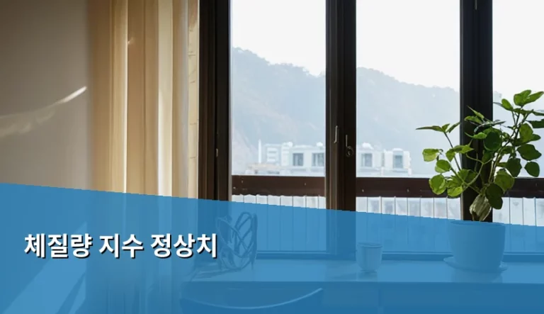 체질량 지수 정상치 기준과 건강한 체중 관리 방법